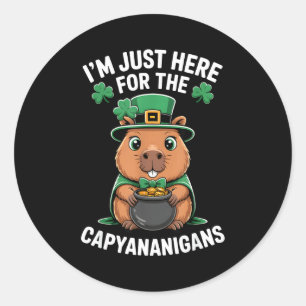 Capybara st patricks dag lycklig shamrock kruka me runt klistermärke