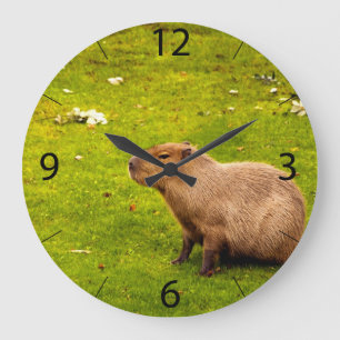Capybara Stor Klocka