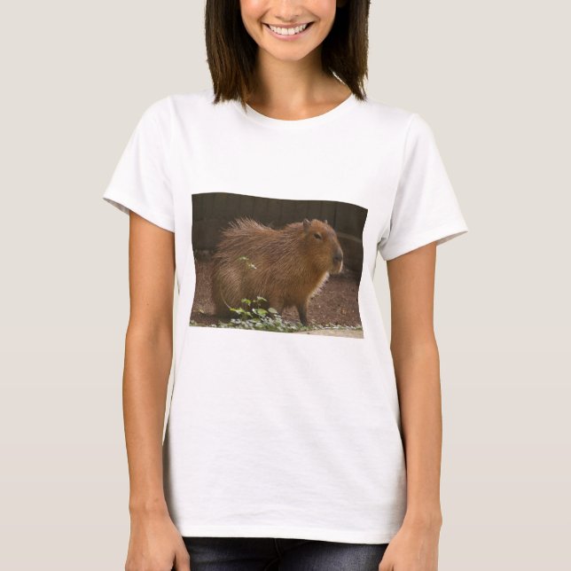 Capybara Tee (Framsida)