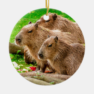 Capybara Trio Julgransprydnad Keramik