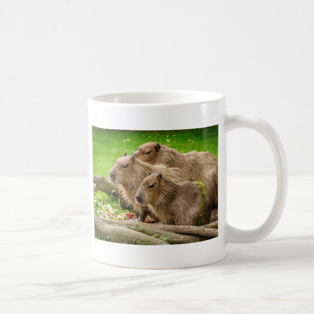 Capybara Trio Kaffemugg (Höger)