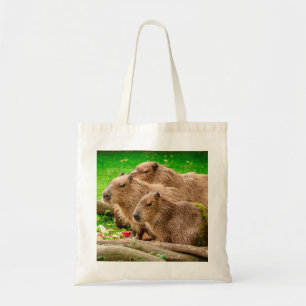 Capybara Trio Tygkasse