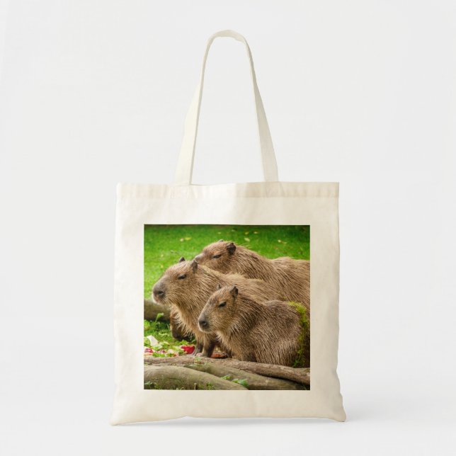 Capybara Trio Tygkasse (Framsidan)
