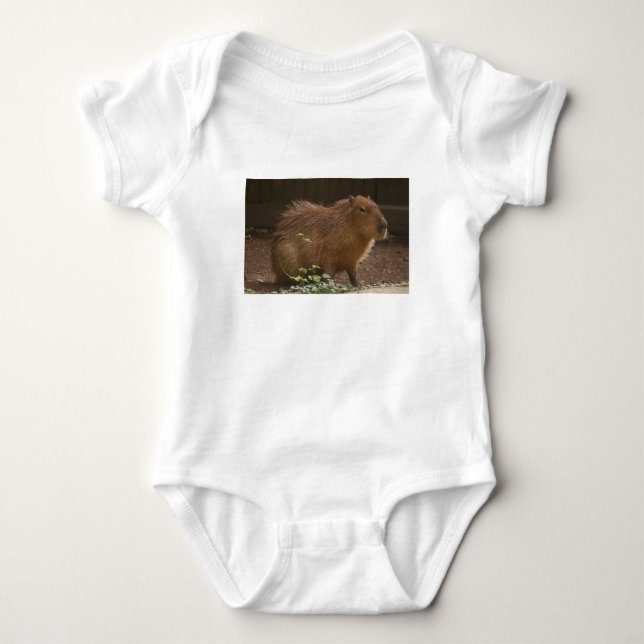Capybara Tröja (Framsida)
