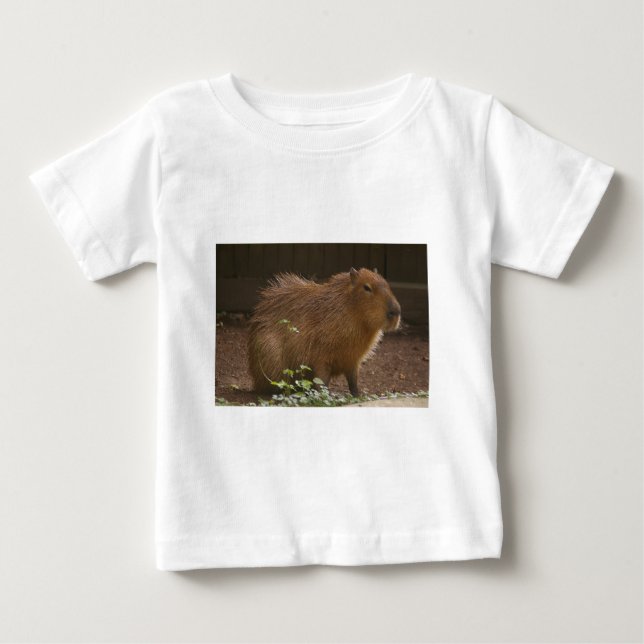 Capybara Tröja (Framsida)