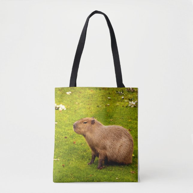 Capybara Tygkasse (Framsida)