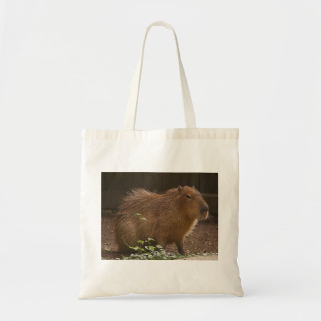 Capybara Tygkasse (Framsidan)
