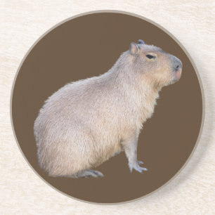 Capybara Underlägg