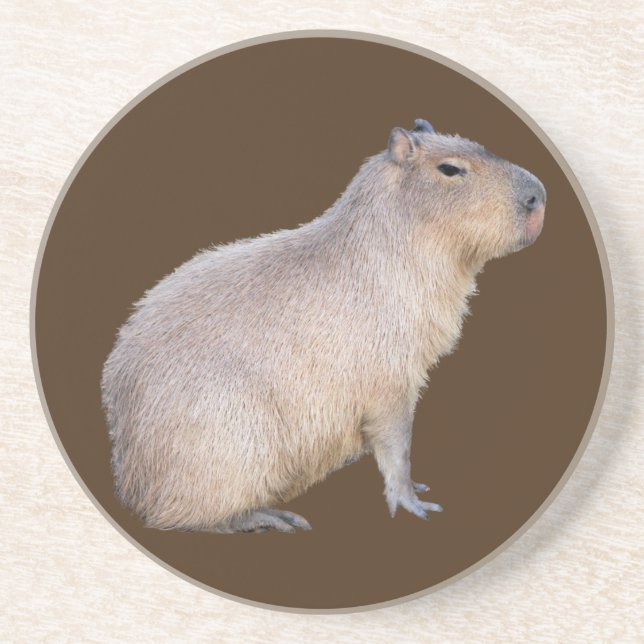 Capybara Underlägg (Framsidan)