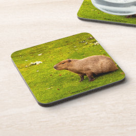 Capybara Underlägg