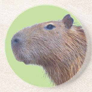 Capybara Underlägg