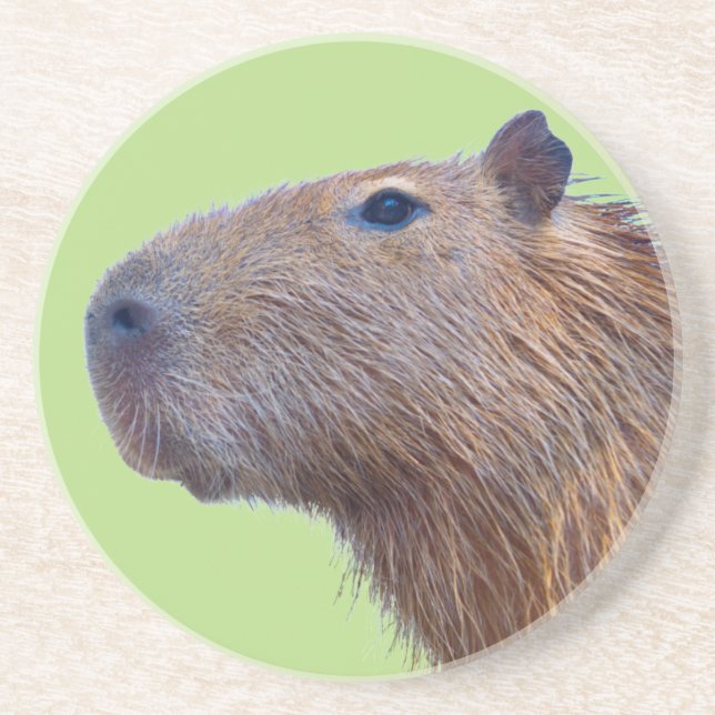 Capybara Underlägg (Framsidan)