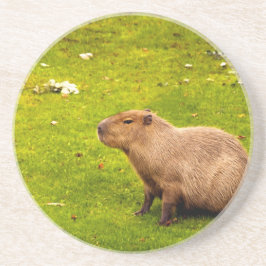 Capybara Underlägg Sandsten