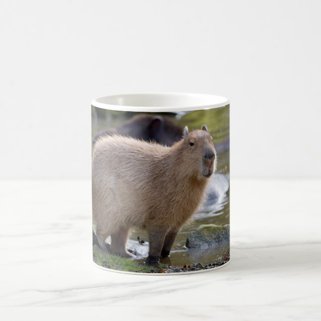 Capybara vid kant i en damm kaffemugg (Center)