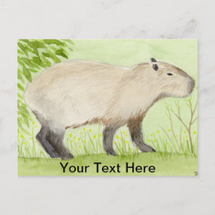 Capybara Vykort