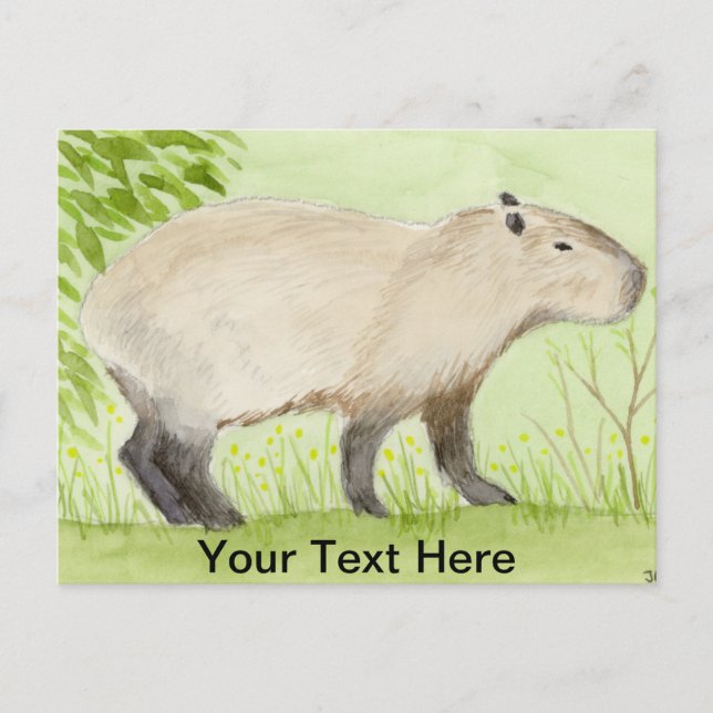 Capybara Vykort (Framsida)