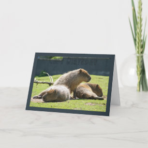 Capybarahälsningkort - Capy födelsedag Kort