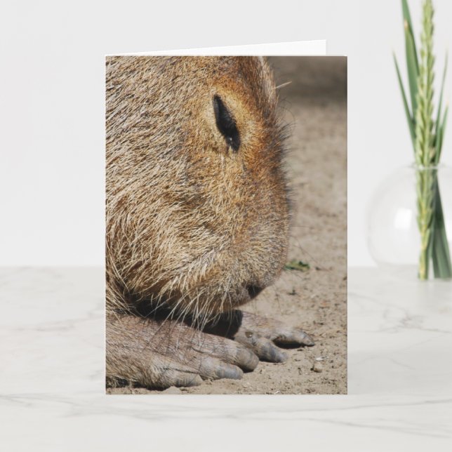 Capybarahälsningkort Kort (Framsida)