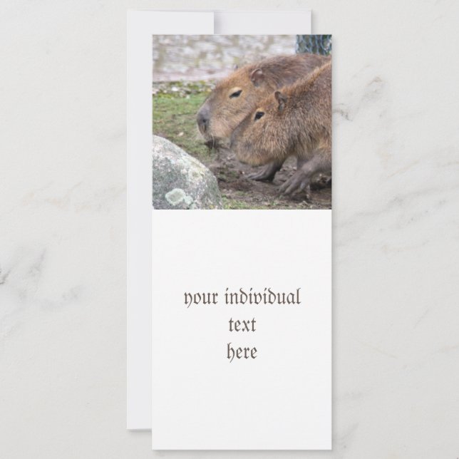 Capybarahs Inbjudningar (Framsida)