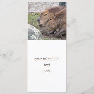 Capybarahs Inbjudningar