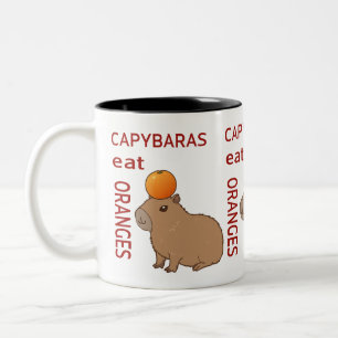 Capybaras Eat Orange Mugg Cute & Funny Animal