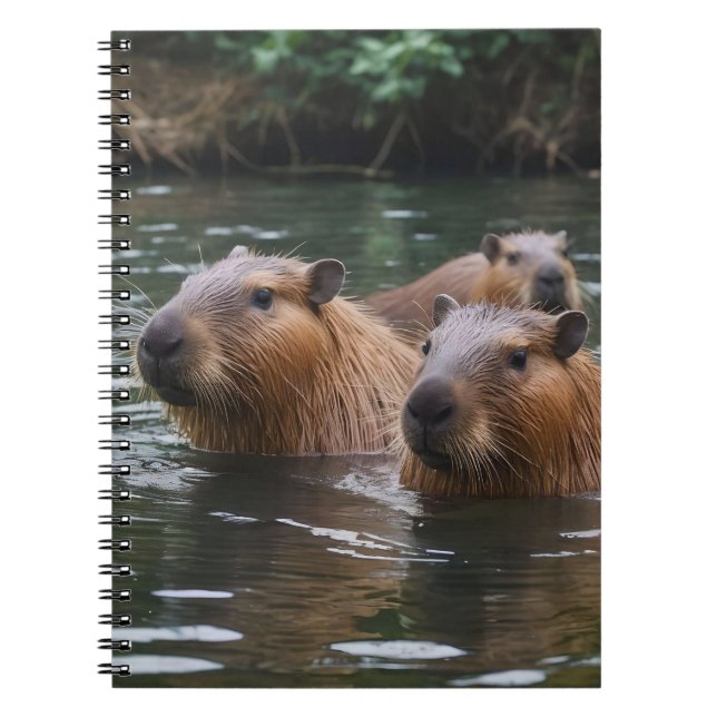 Capybaras simming i floden. anteckningsbok (Framsidan)