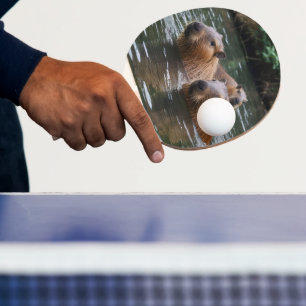 Capybaras simming i floden. pingisracket