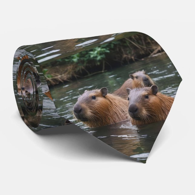 Capybaras simming i floden. slips (Rullad)