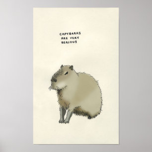 capybarasmåsaker poster