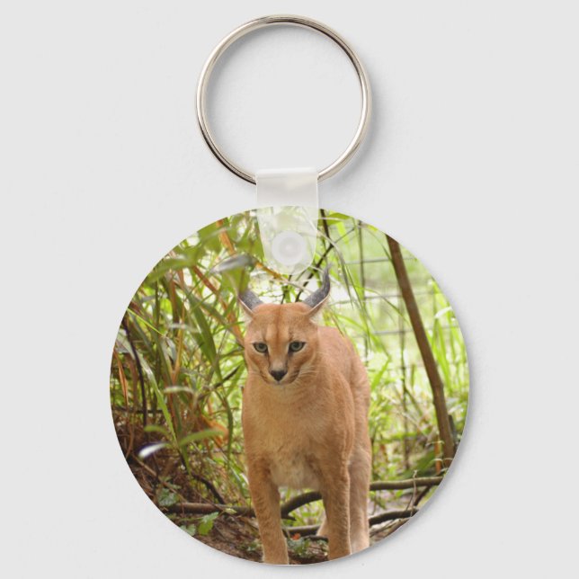Caracal Lynx Keychain Nyckelring (Framsida)
