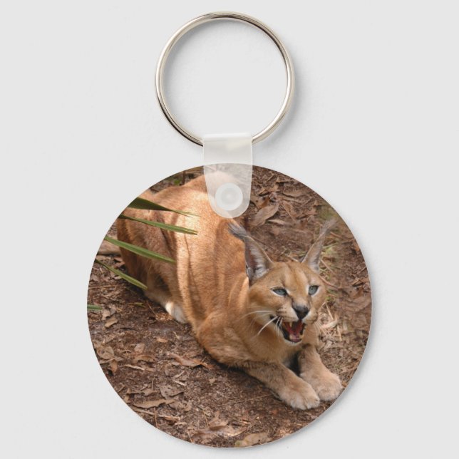 Caracal Lynx Keychain Nyckelring (Framsida)