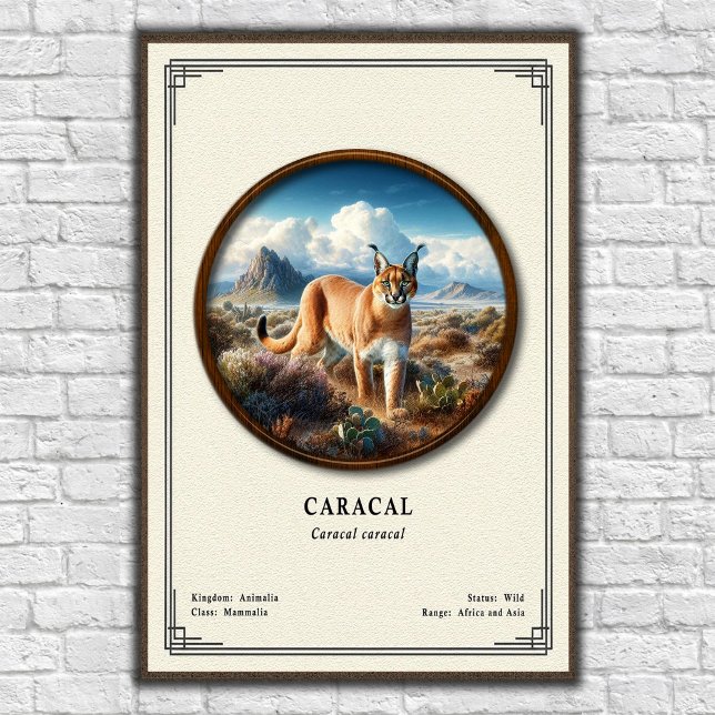 Caracal Zoologi Serie Poster (Skapare uppladdad)
