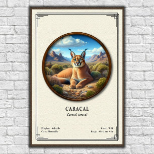 Caracal Zoologi Serie Poster