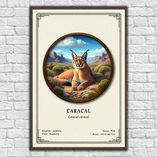 Caracal Zoologi Serie Poster (Skapare uppladdad)