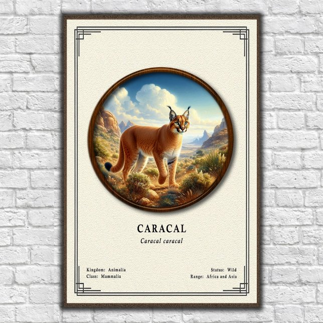 Caracal Zoologisk Serie Poster (Skapare uppladdad)