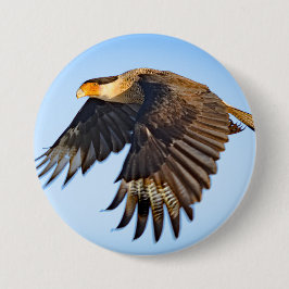 "Caracara Flight" Button Knapp
