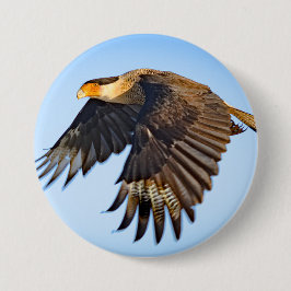 "Caracara Flight"-knapp Knapp