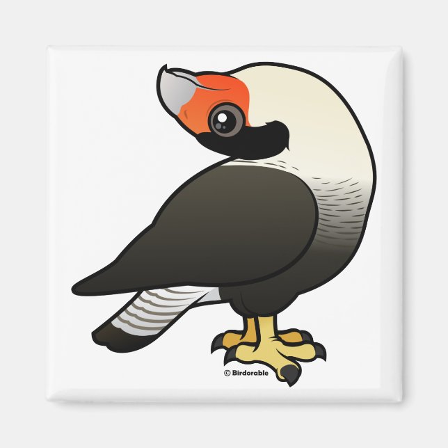 Caracara Visning Magnet (Framsidan)