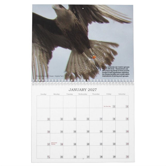 Caracaras av Florida Kalender (Jan 2027)