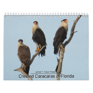 Caracaras av Florida Kalender