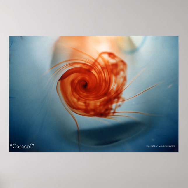 Caracol Poster (Framsidan)