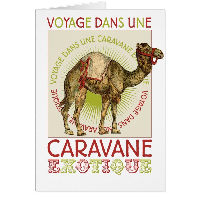 Caravan Camel Hälsningskort (Framsidan)