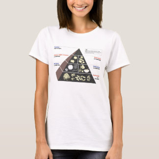 Carbälskare pyramid för mat tee shirt