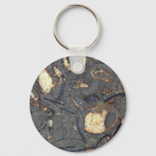 Carbonatesten med fossil nyckelring