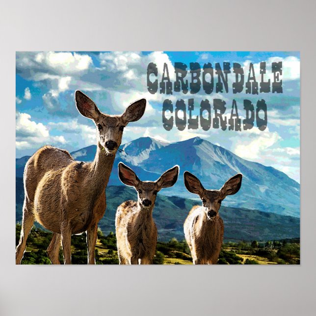 Carbondale, Colorado Poster (Framsidan)