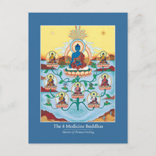 CARD 8 Medicine Buddhas Vykort