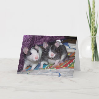 ~Card för Baby Råttor Kort