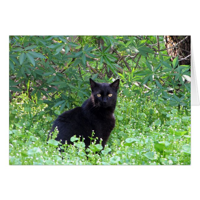 Card känsligt ensamt för svart katt utan dig hälsningskort (Framsidan Horizontal)
