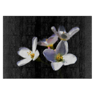 Cardamine Pratensis Flowers cbcna
