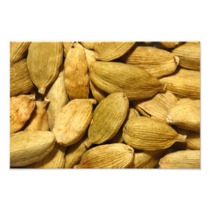 Cardamom pods fototryck